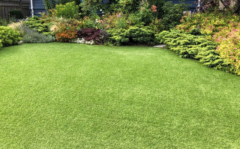Completed Landscape with Lawn