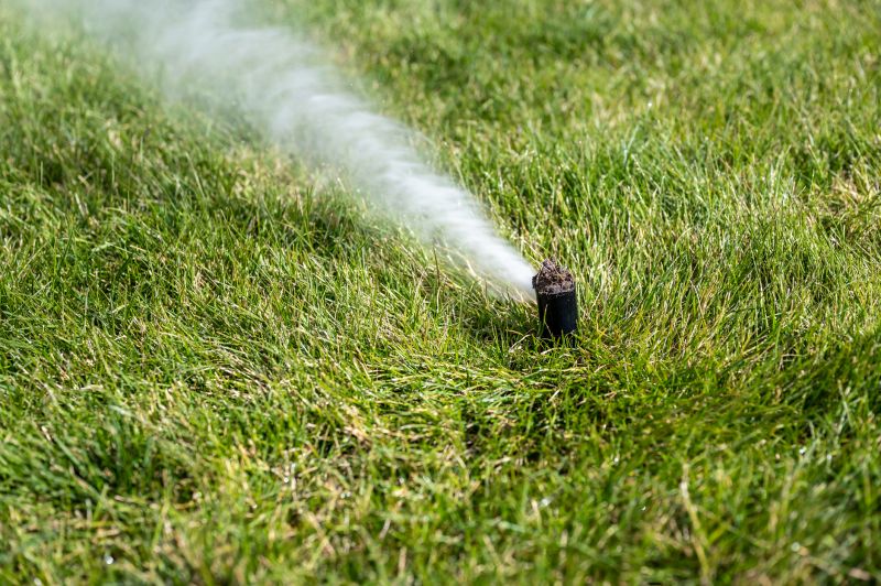 Protecting Sprinkler Heads