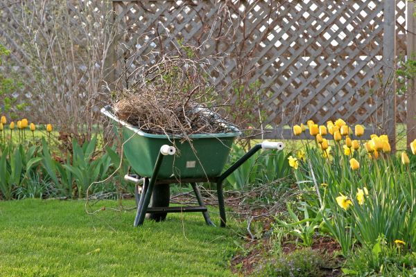 Flower Bed Cleanup Service in Goodyear