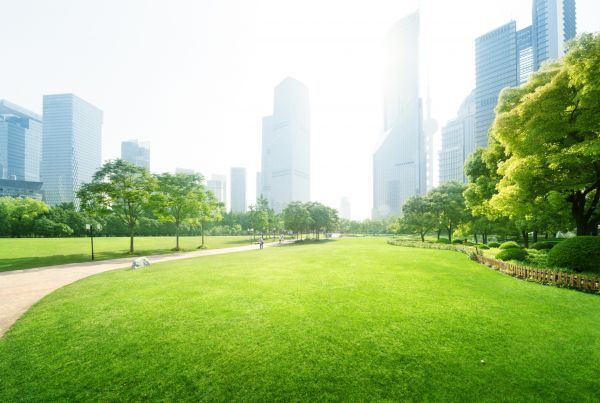 Commercial Landscape Maintenance in Goodyear