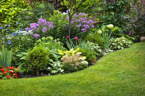 Flower Bed Service in Goodyear