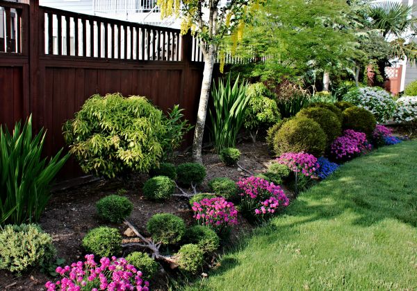 Garden Care Service in Goodyear