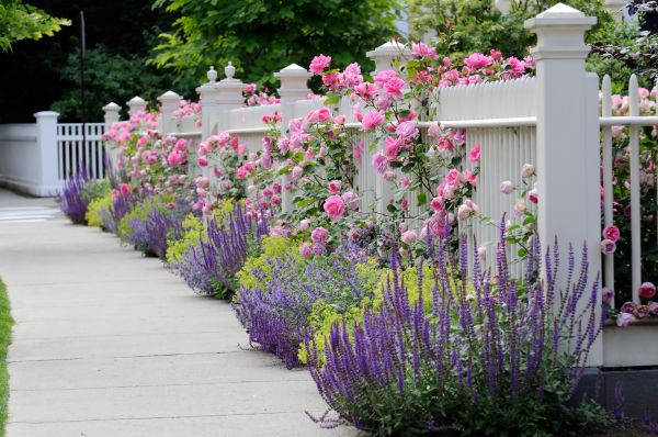 Garden Handyman Service in Goodyear