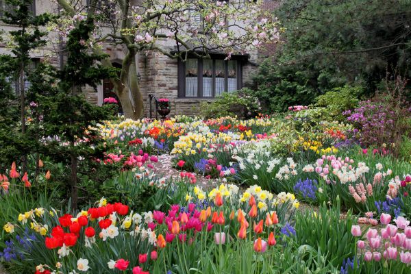 Garden Maintenance Service in Goodyear