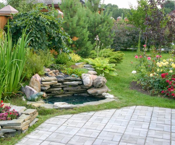 Landscaping Design Service in Goodyear