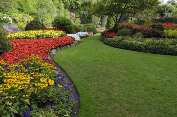 Landscaping Maintenance in Goodyear