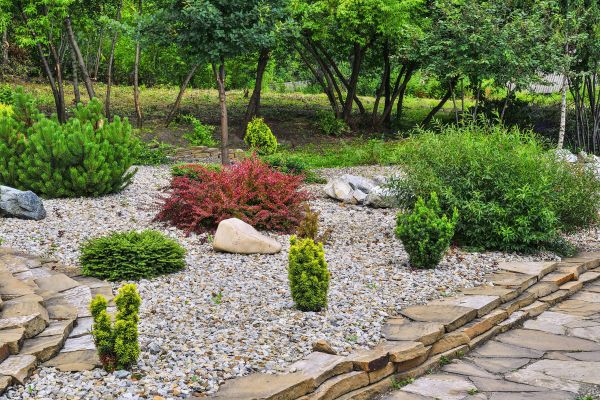 Rock Landscaping in Goodyear