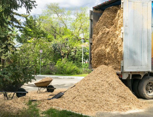 Wood Chips Delivery in Goodyear