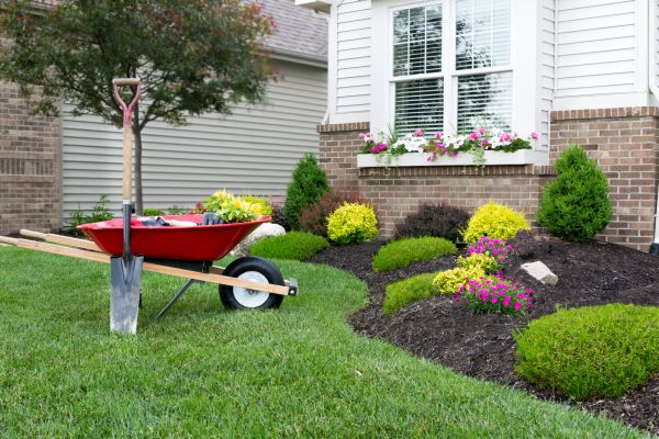 Landscape Maintenance Service in Goodyear