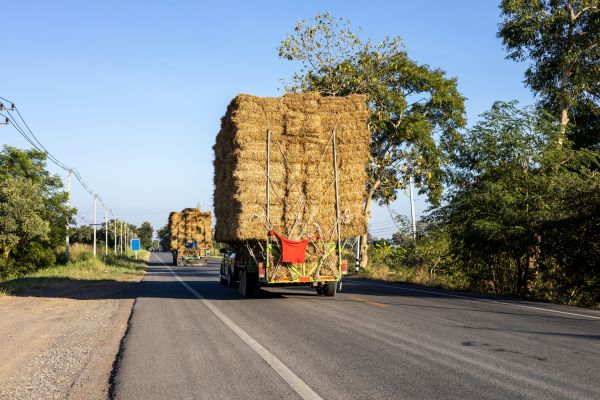 Pine Straw Delivery in Goodyear