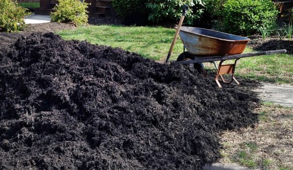 Black Mulch Delivery in Goodyear