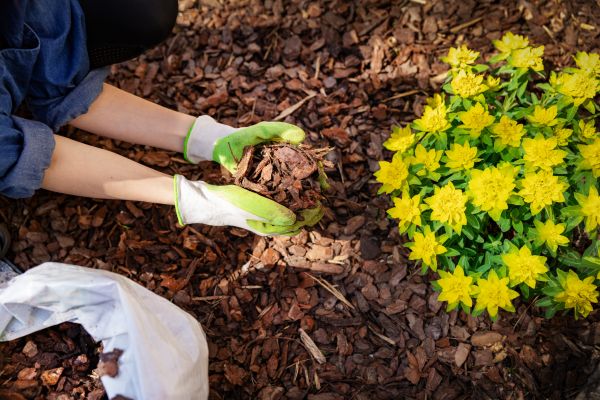 Garden Mulching in Goodyear