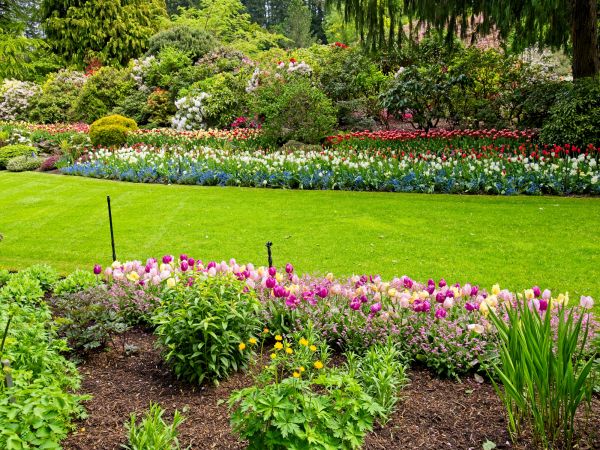 Residential Landscape Design in Goodyear