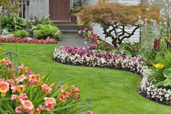 Perennial Landscaping in Goodyear