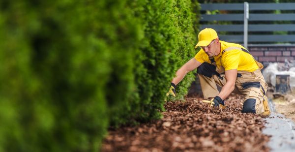 Cypress Mulch Installation in Goodyear