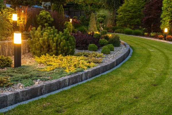 Garden Repair Service in Goodyear
