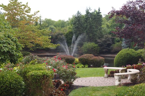 Courtyard Design Service in Goodyear