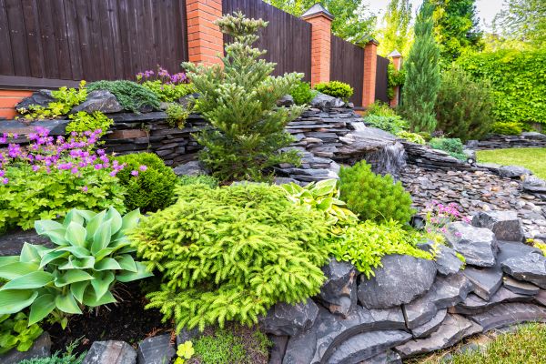 Stone Garden Installation in Goodyear