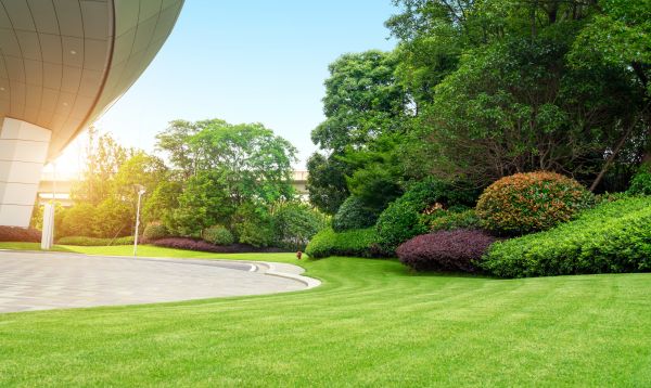Business Landscape Design in Goodyear