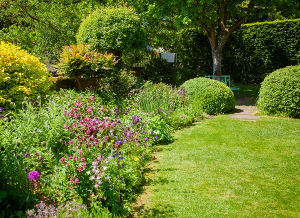 Yard Landscaping Service in Goodyear