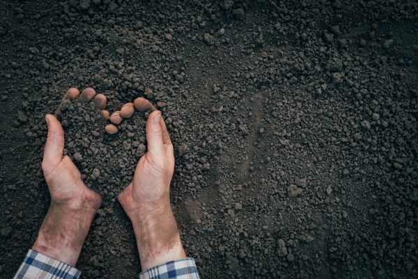 Soil Installation in Goodyear