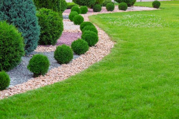 Edging Stones Installation in Goodyear