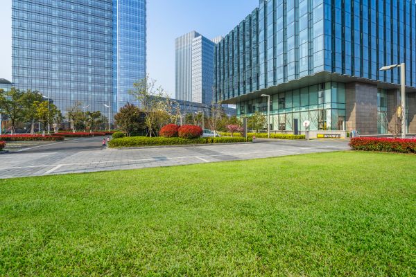 Industrial Landscaping Service in Goodyear