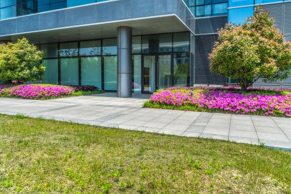Commercial Gardening in Goodyear