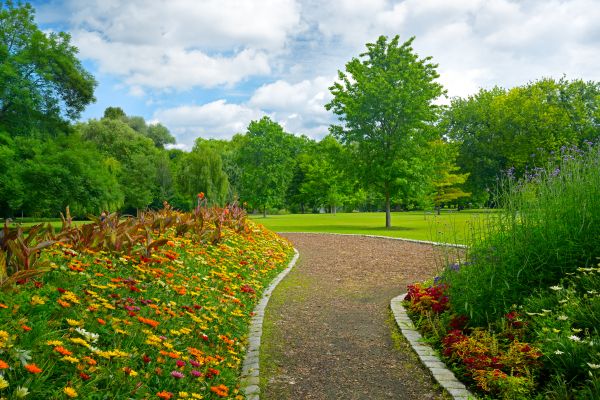 Park Landscaping in Goodyear