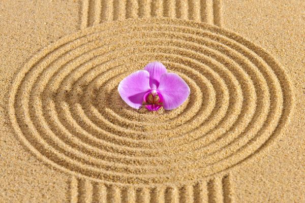 Sand Garden Landscaping in Goodyear