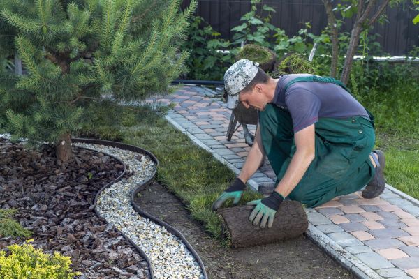 Landscaping Modification in Goodyear
