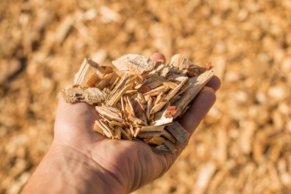 Wood Chips Spreading in Goodyear