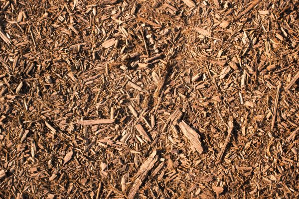 Wood Chips Removal in Goodyear