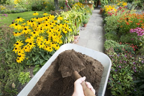 Topsoil Replacement in Goodyear