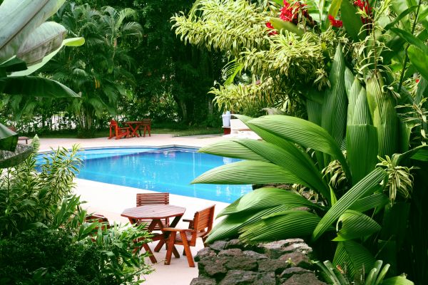 Pool Area Landscaping in Goodyear