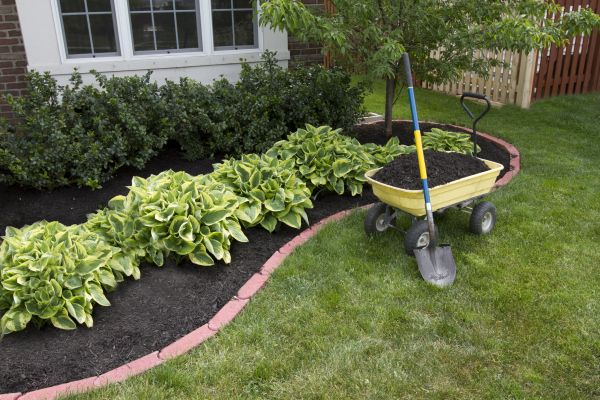 Landscape Mulching in Goodyear