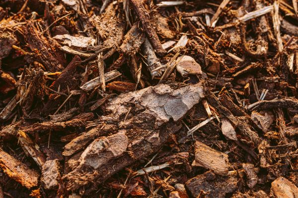 Bark Mulch Delivery in Goodyear