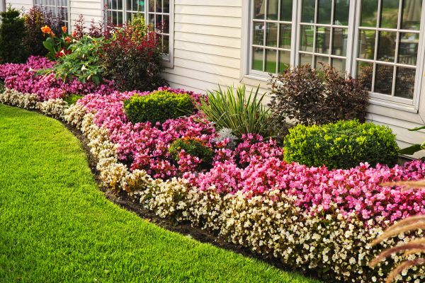 House Landscaping in Goodyear