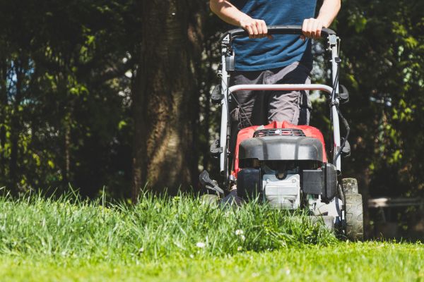 Garden Trimming Service in Goodyear