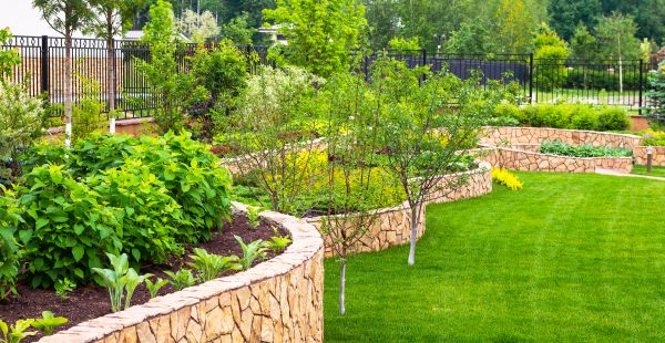 Yard Makeover Service in Goodyear