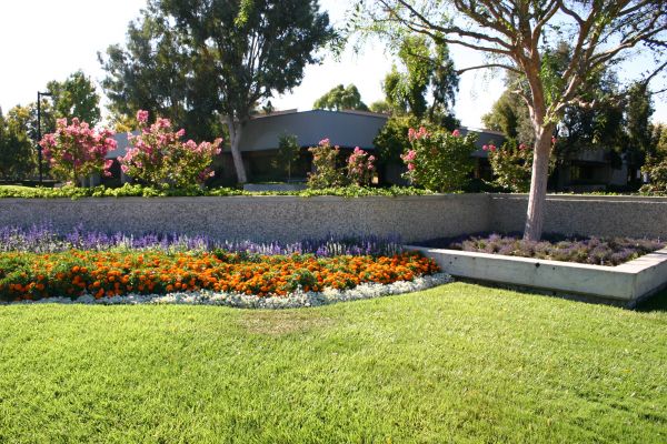 Commercial Landscape Service in Goodyear