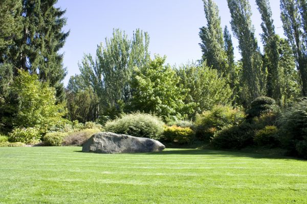 Yard Enlargement in Goodyear