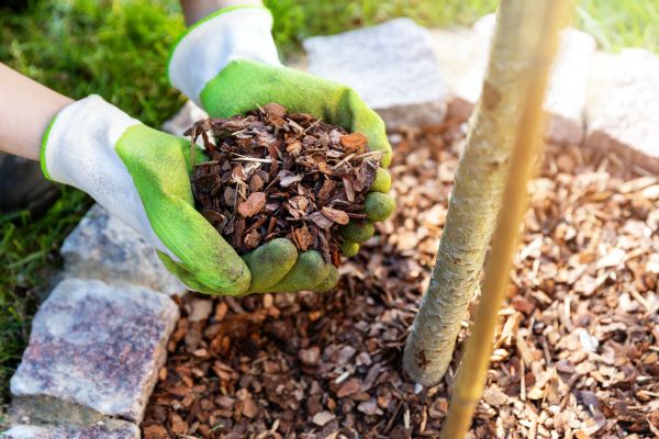 Tree Bark Delivery in Goodyear