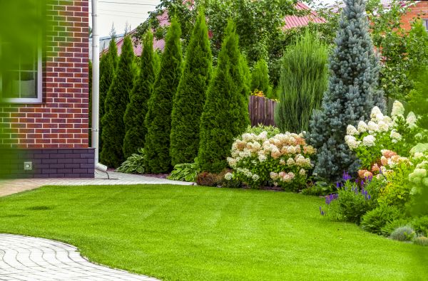 Spring Landscaping in Goodyear