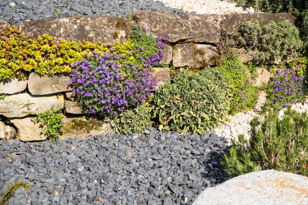 Landscaping Rocks Installation in Goodyear