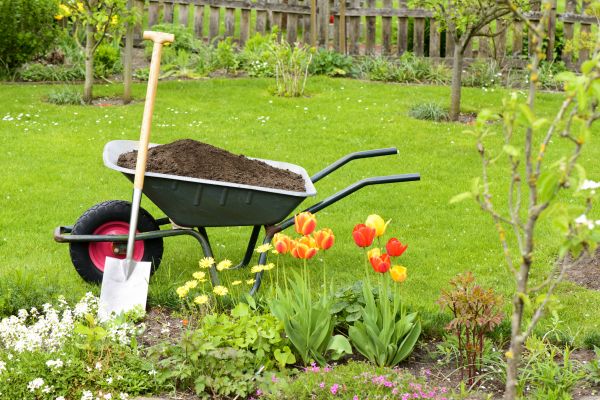 Spring Yard Renovation in Goodyear