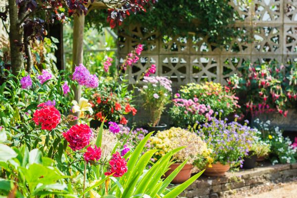 Spring Garden Maintenance in Goodyear