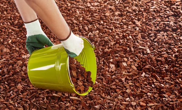 Wood Chip Landscaping in Goodyear