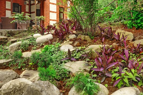 Rock Garden Landscaping in Goodyear