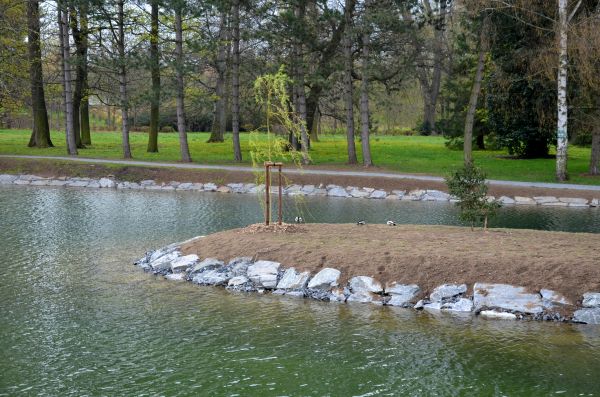 Pond Landscaping Service in Goodyear